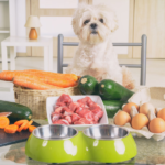 Pet's Well-being: Healthy Food