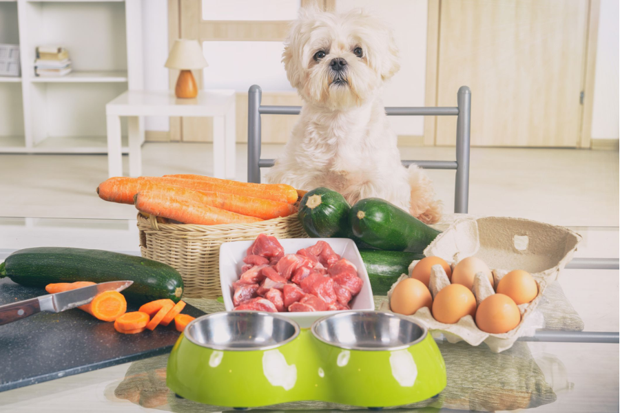 Pet's Well-being: Healthy Food